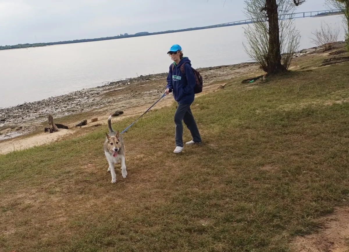 Foto sobre Tenencia responsable en debate: Incidente con un perro pitbull genera preocupación en Paysandú